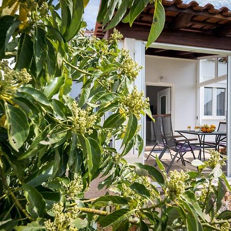 Avocado Apartment دوبروفينك المظهر الخارجي الصورة
